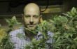 Weed Travels